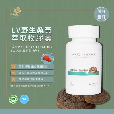 Amazing Grace 野生桑黃 LV